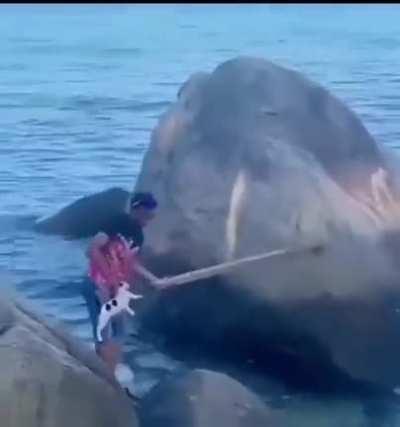 Kitten gets scolded by mom