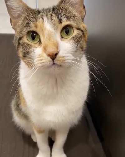 When you're denied food