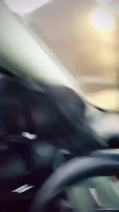 the end 😱😲🤣 A stray dog entered into the car! 😲