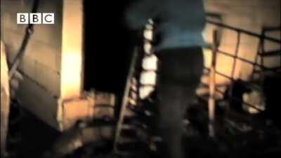 If you think the snakes in Australia are bad, wait until you see the Mouse Plagues.