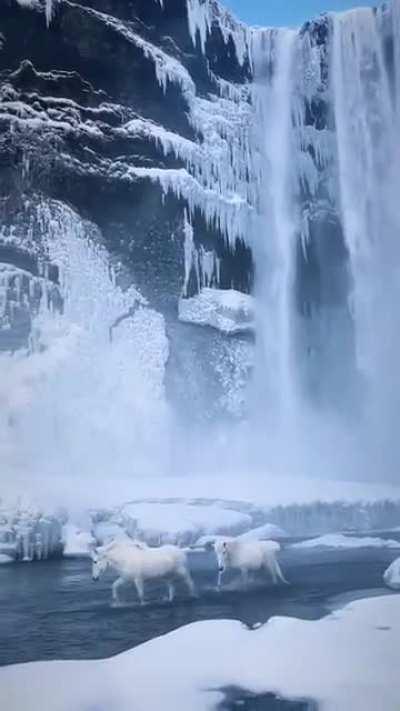 Skogafoss Waterfall in Iceland