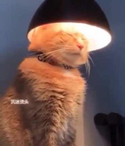 I guess it’s nice and warm?