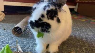 Mmmm....delicious 😋