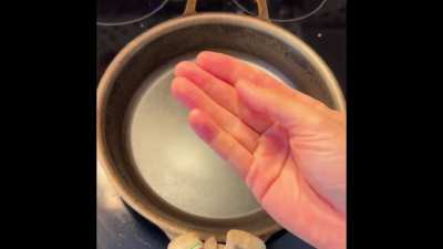 Stargazer vs Egg, no oil