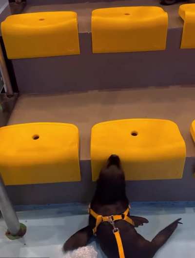 是吉米公主吖 on 小红书