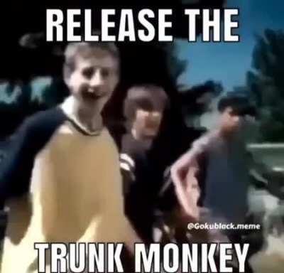 A friend sent me a Monkey video