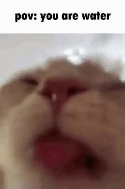 POV: you are water