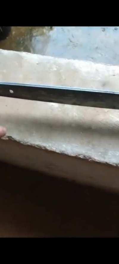 QUE ISSS KSKSKSKKKKK