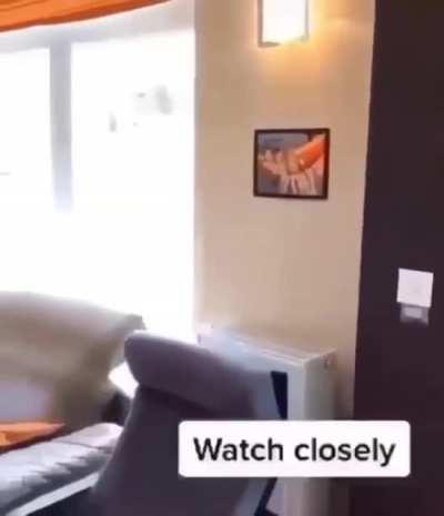 This messed up my brain