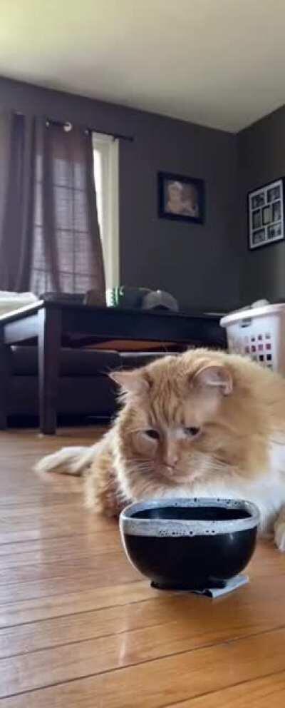 Can't rock the bowl anymore