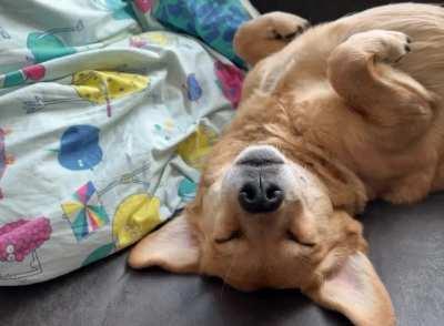 No food smell can escape her