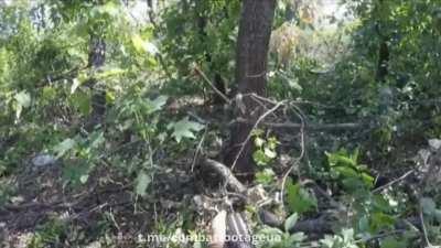 First-person video of a Ukrainian soldier firing at the enemy on the outskirts of Klishchiyivka, south of Bakhmut, Donetsk Oblast.