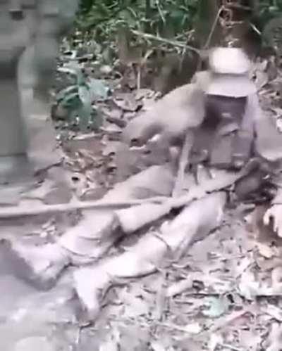 Soldados trabalhando