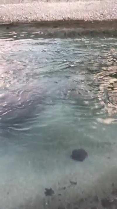 Kund Banda, Upper Dir, Pakistan