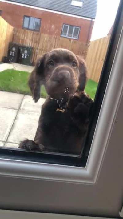 Let me in!!