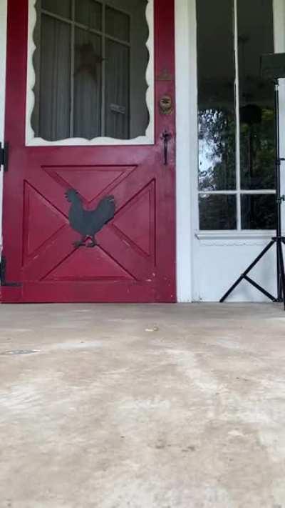 Fast as duck (sound on)