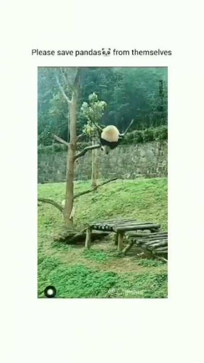 Threat to themselves 🫠