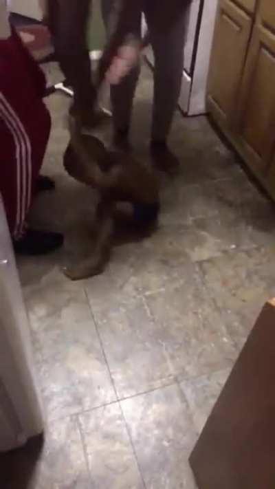 Lil nigga felt them first hit