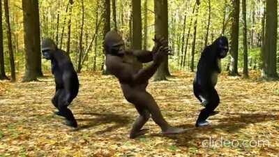 Meanwhile in Monkeydonia