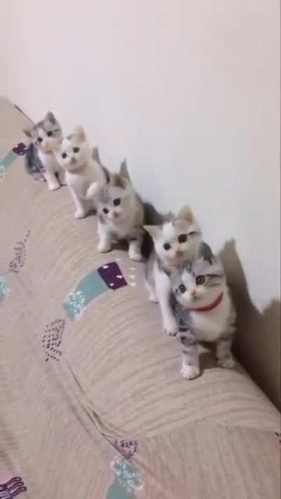 You can’t take your eyes off...