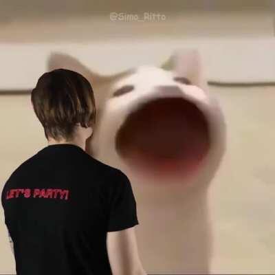 Idea suddenly came up and I was like: Hey, why not ?