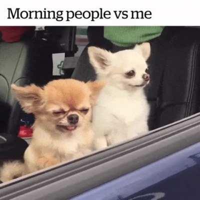 Which one are you? 😂