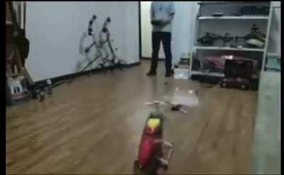 Тестовый взлёт.