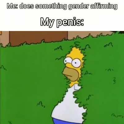 My penis has a strict anti-fun policy