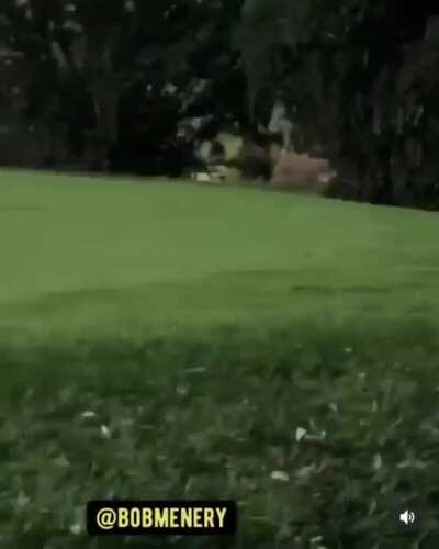 Deer sucks ain’t cheatin’