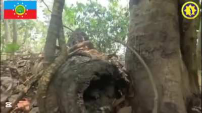 [Myanmar/Burma] Anti-Junta Guerrillas in Tanintharyi Region clash with junta troops near a road in Yephyu Township (March 24)