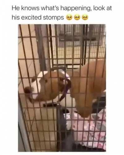 he already knows what's going to happen