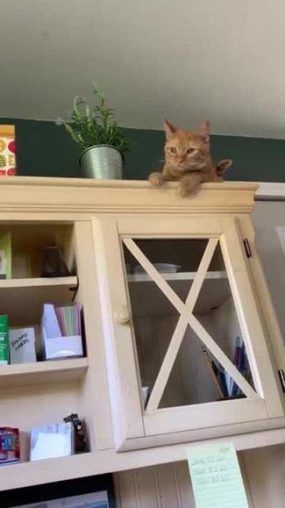 There, now you can post it