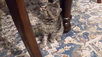 What should we name her?