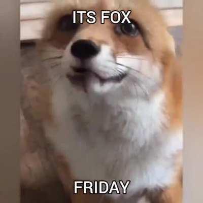 its fox friday (its saturday for me but who cares)