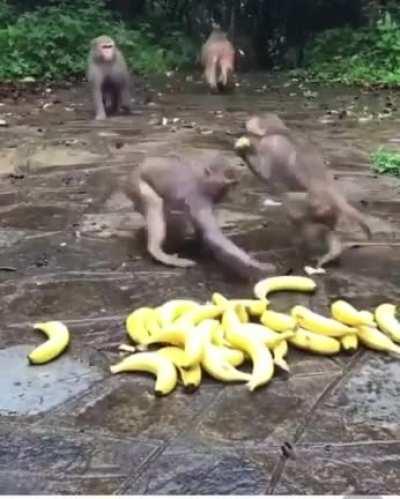 Кушать подано