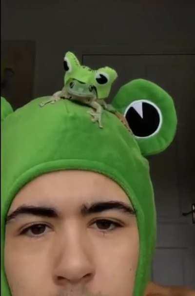 Es ist Mittwoch, meine Kerle!