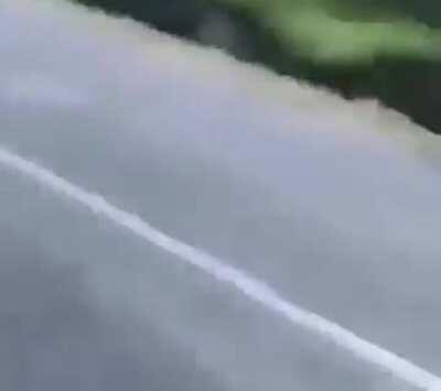 SCP-682 neutralized by Alabama Man