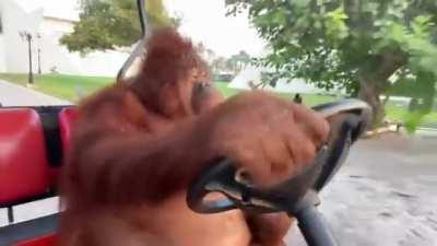 Damn, Wubby really let himself go