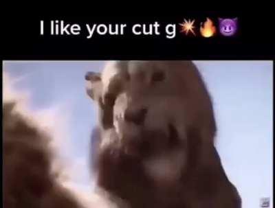 cursed_videomemes - Video #9390