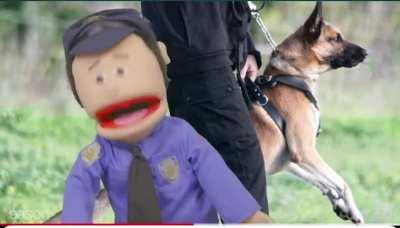 Fun Facts About the Police