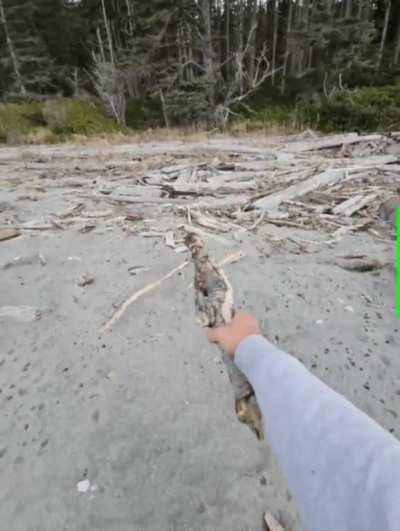 When it looks like a weapon (3of15)