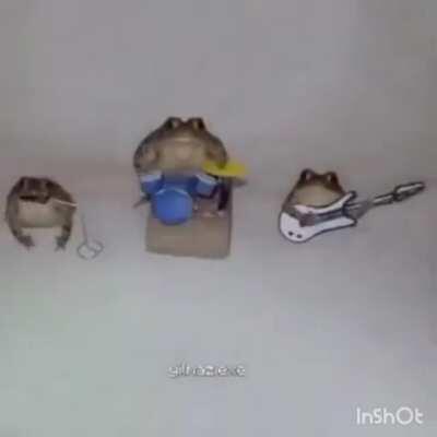 ola fiscal de sapos, gostaria de perguntar se pode banda de sapo no grupo