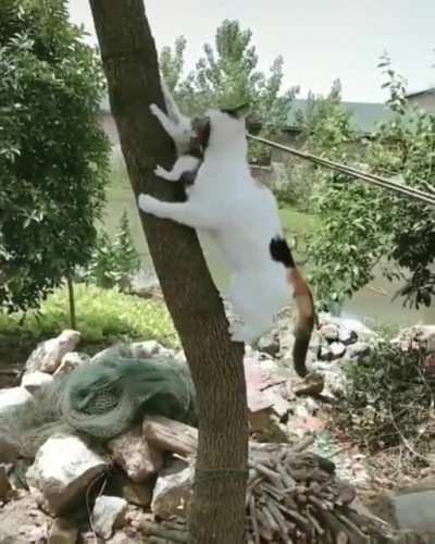 Mom to the rescue (like a boss)!