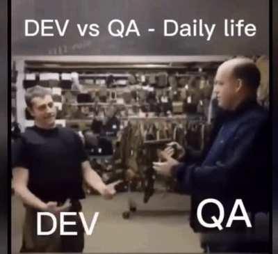 Dev vs QA