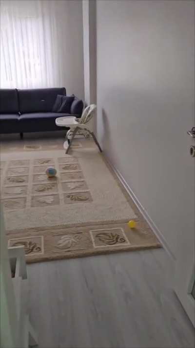 imagine peeing for a sec then see this