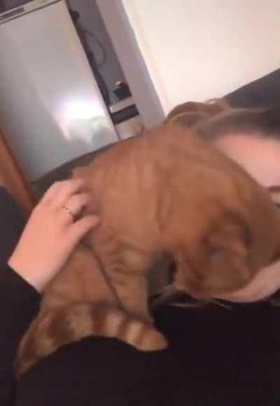 Favorite spot since he was a kitten