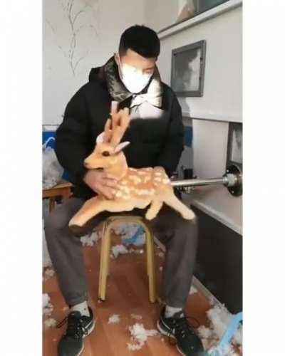 Definitely a stuffing