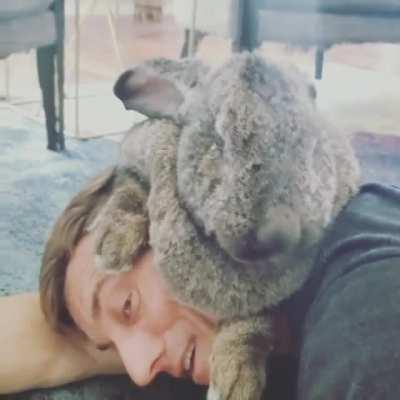 Freyja decided I need to be groomed