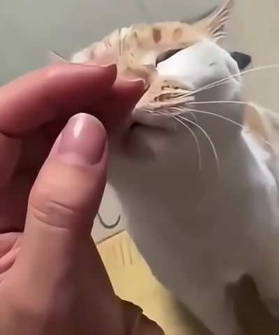 Why would somebody do this?