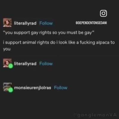 An alpaca learns how to type